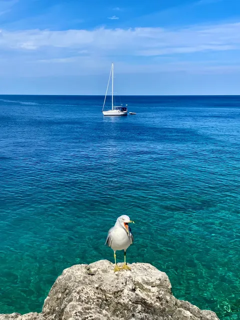 Discover Toronto’s Best-Kept Secret: The Mesmerizing Grotto 🌊