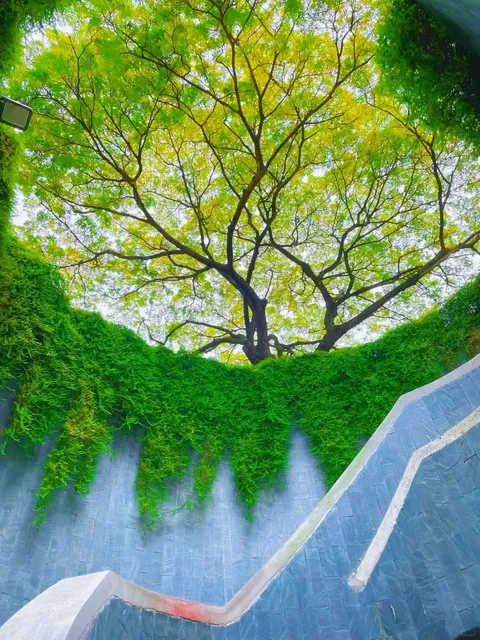 Singapore Travel Photography 📸