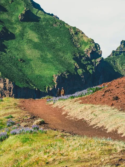 🇮🇸 Iceland’s Seasonal Secrets: Why Summer Steals the Show