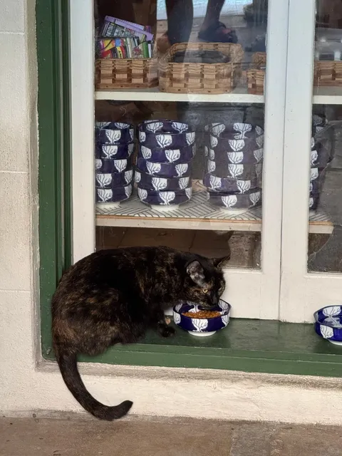 Key West Speedrun Day Trip 