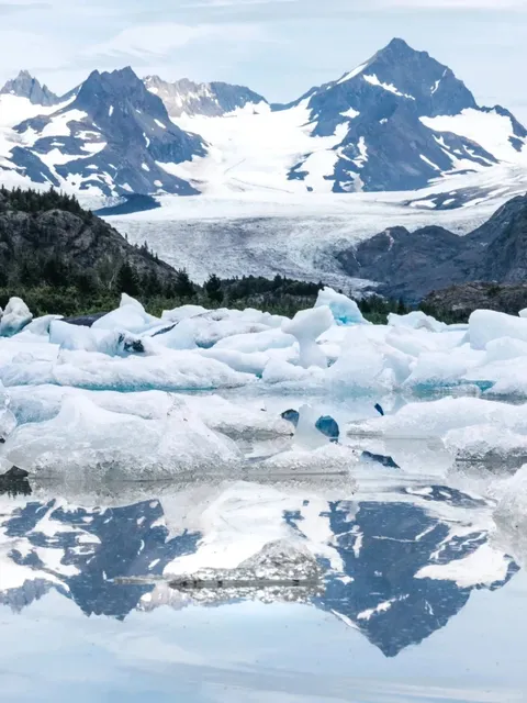 Mount Roberts Tramway in Juneau - 50% OFF!