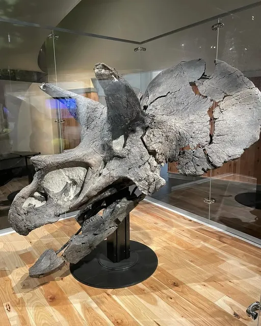 Royal Tyrrell Museum