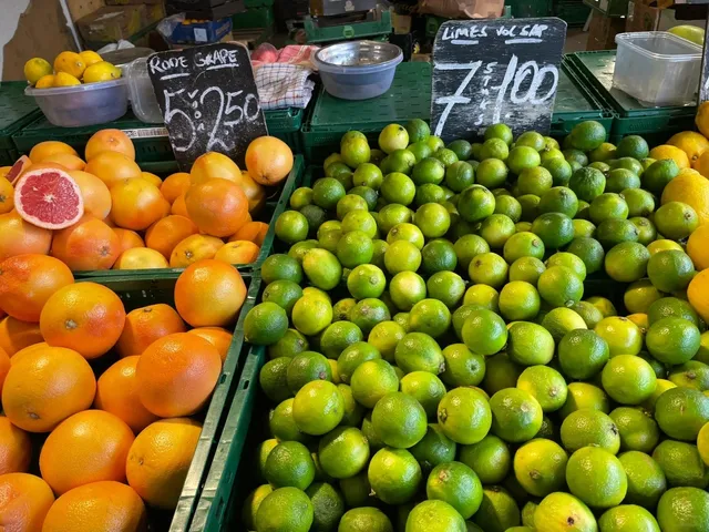 🇳🇱 The Hague Market: A Budget Foodie’s Paradise!