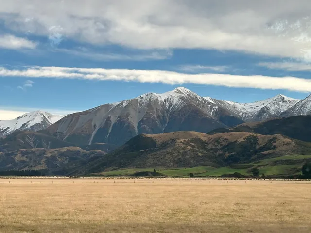 Haven’t Ridden a Train in New Zealand Yet? Here’s Your Guide!