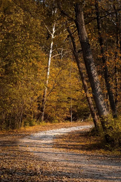 🍂 Ohio | Fall Colors at Cuyahoga Valley National Park