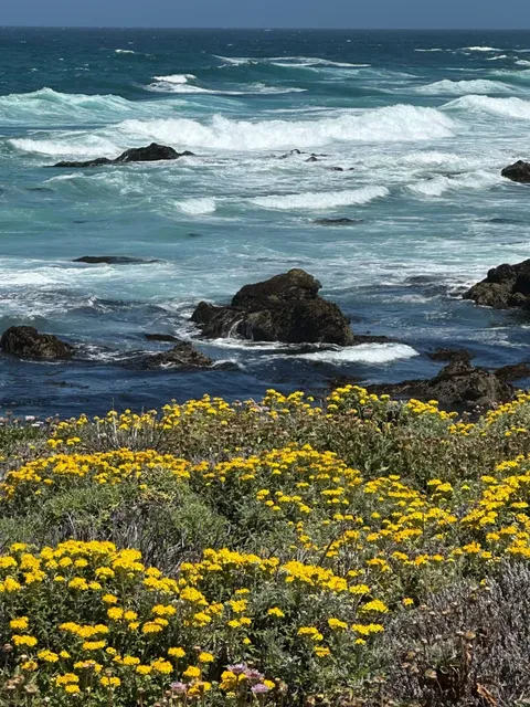 🚗 Bay Area Day Trip | 17-Mile Drive & Carmel-by-the-Sea