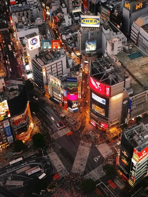 Here are the top 3 things to do when you're in Tokyo! 🎏🗼🚃