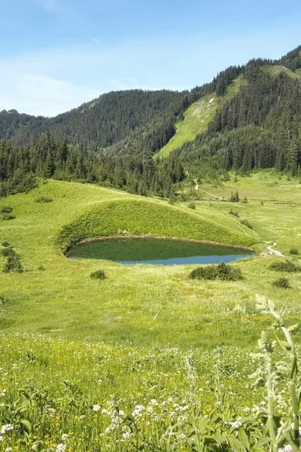 🇨🇦 ​​Cheam Peak 2025: Hiking Guide & Trail Update!​​ 🏔️✨