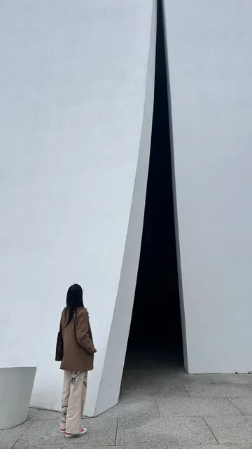 Houston in 3 Days & 2 Nights 