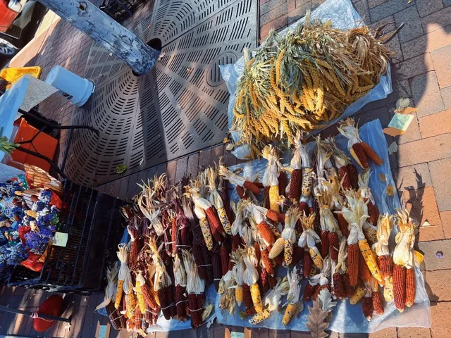 North America Travel • 2-Day Trip to Madison, Wisconsin 🧳