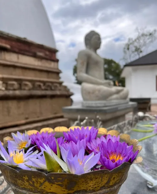 Sri Lanka | The most beautiful flowers