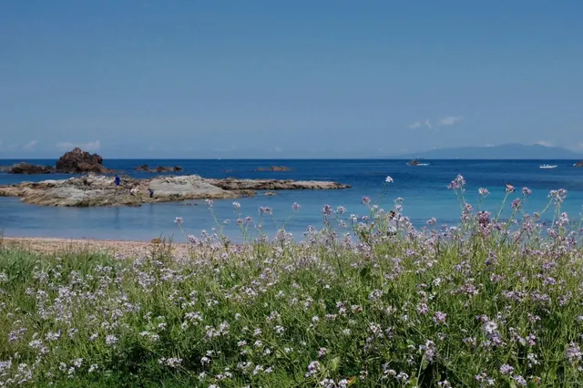 Izu | Hot Spring Soaking + Sea Views Two-Day Itinerary (2)🌊