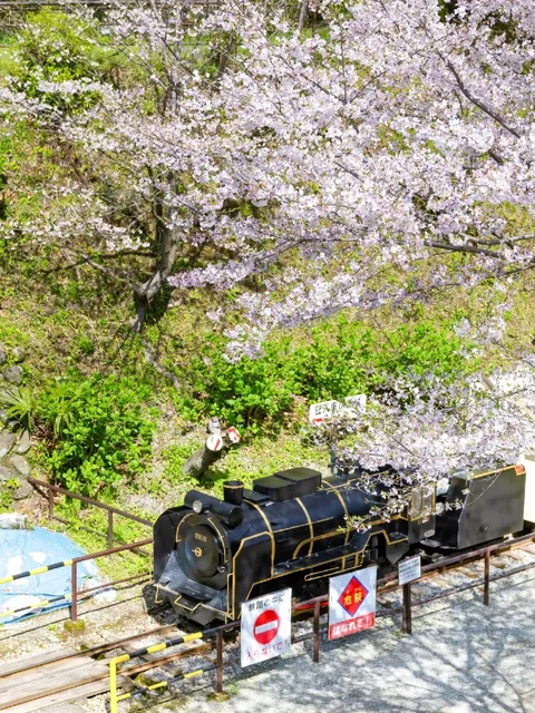 🦋 Kanagawa's 7 Must-Visit Spots 🌊 For Sea View Lovers 🌅