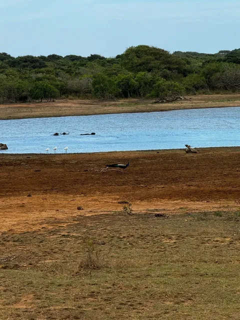 🇧🇷 Ultimate Brazil Road Trip Guide: Campo Grande → Bonito