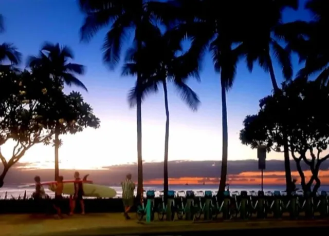 A Few Days in Paradise 🌺