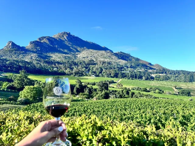 Experiencing a gentle tipsiness in a Cape Town wine estate