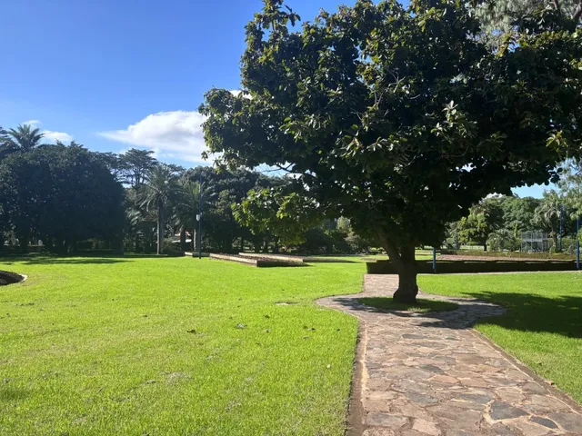 Toowoomba stole my heart! 💘