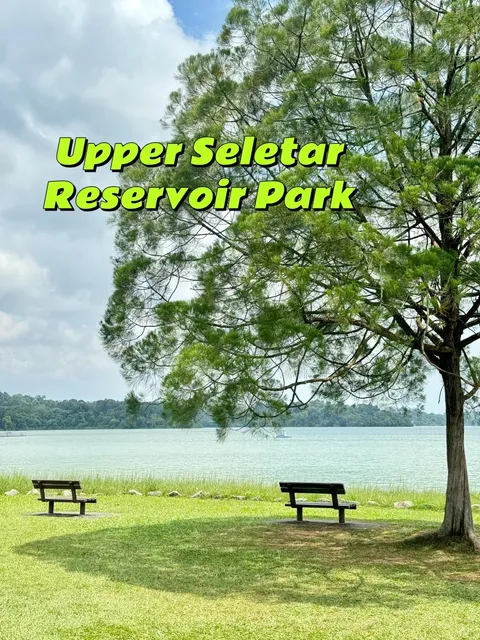 🇸🇬 Off-the-Beaten-Path Hiking Trails | Don't Just Stick to MacRitchi