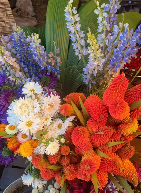 Madagascar’s Hidden Gem: Antsirabe, the Highland City of Gems 🌿💎