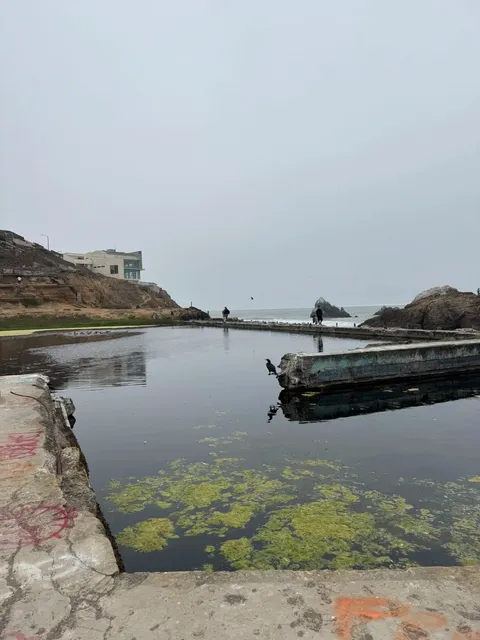 Lands End Trail – A Mystical Oceanfront Hike in San Francisco 🌊🚶‍♀️