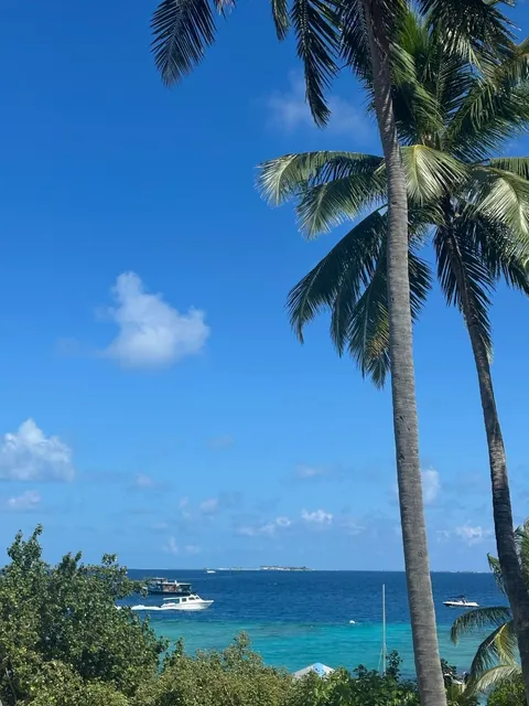 🌴 How to Find a Reliable Maldives Travel Agent