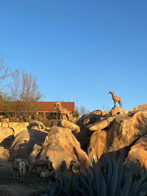 🇲🇽 Saltillo | Second Visit to the Desert Museum Captures