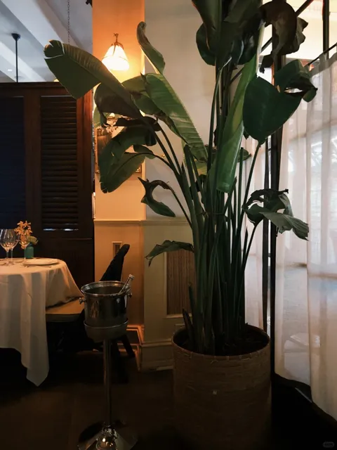 ​​Le Colonial | Atlanta’s French-Vietnamese Dream 🌿🍸​​