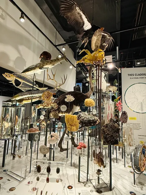 A Hidden Gem Museum on UW Campus – Burke Museum 🏛️✨