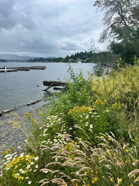 Luther Burbank Park: Mercer Island's Best-Kept Secret 🌲🌊