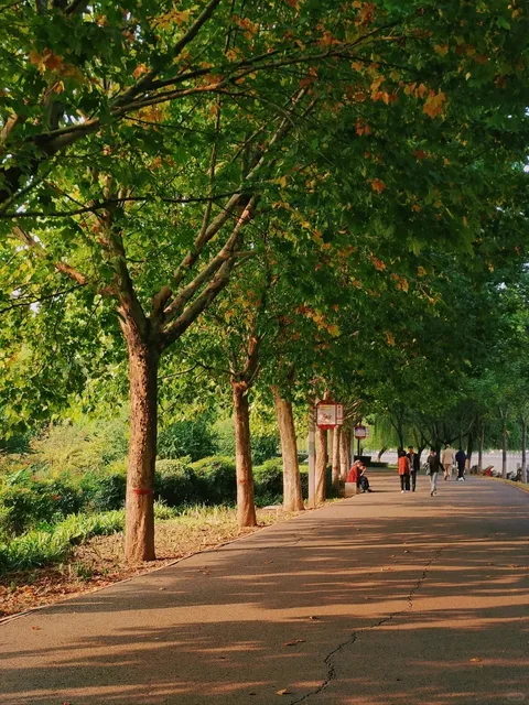 🌿📸 Love & Lakeside Park: A Photographer’s Paradise
