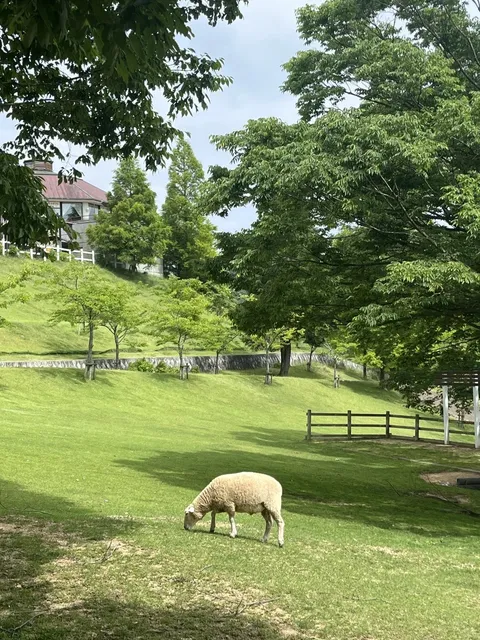 Kobe | The World of Miyazaki Animation - Rokko and Maya Mountains(1)
