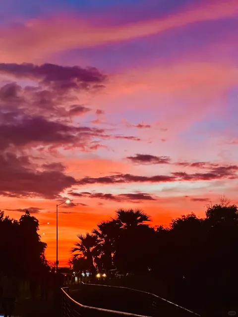 Darwin’s Golden Hour: A Sunset That Stole My Words！🌅✨