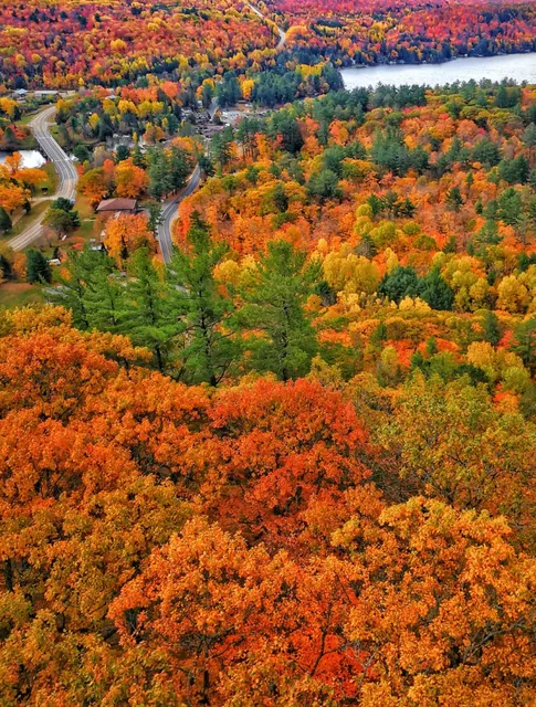 Ontario Fall Foliage First Stop 🍁 Muskoka Lakes