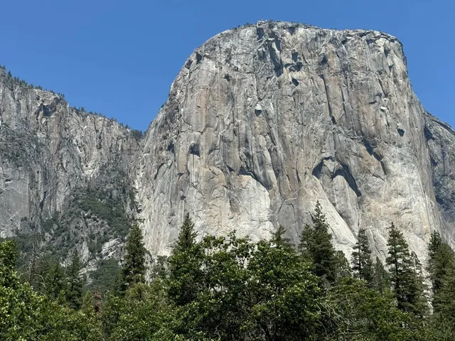 Finally Standing Beneath El Capitan in Yosemite! 