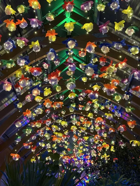 Boston Area | Winter breeze and light shows are the perfect combo ⛄️