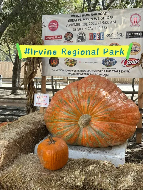 🇺🇸 Irvine Pumpkin Festival 🎃 - Irvine Regional Park