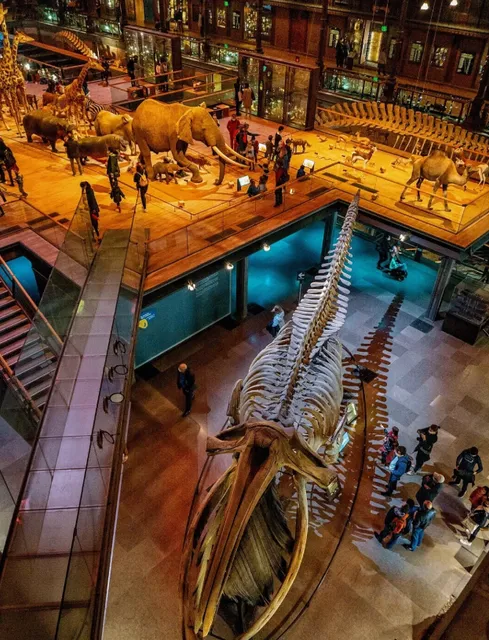 Exploring the Origins of Life on Earth Millions of Years Ago