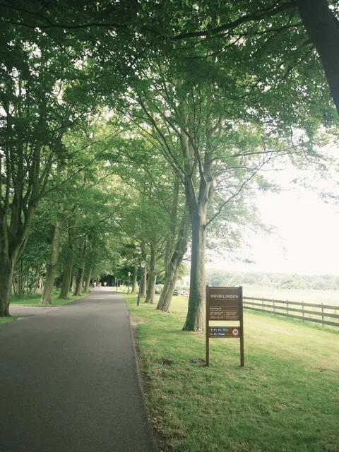 A Surprising Forest Art Museum in The Hague: Voorlinden Museum 🌳🎨