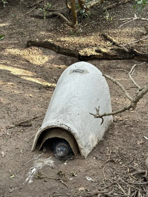 Cape Town Travel Guide