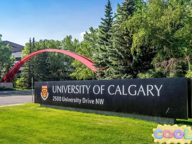 University of Calgary（1） 🌟