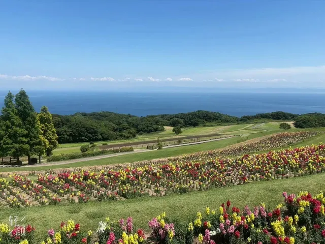 Awaji Island's scenery is indeed beautiful 🌸