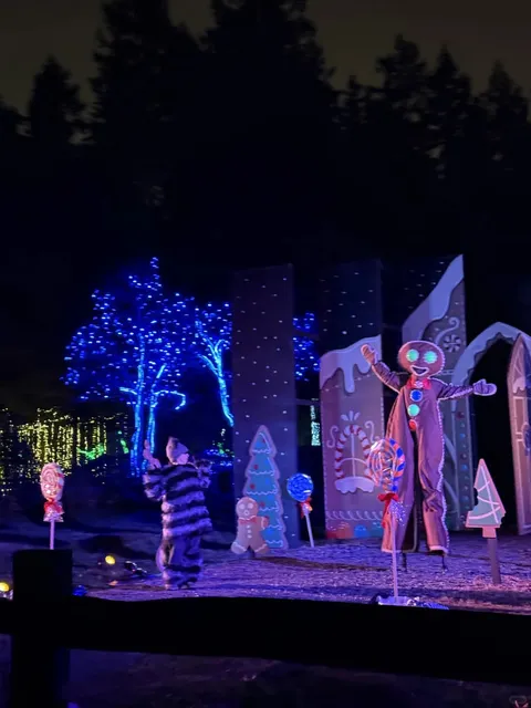 Vancouver Stanley Park’s Christmas Train 🚂 and Light Show