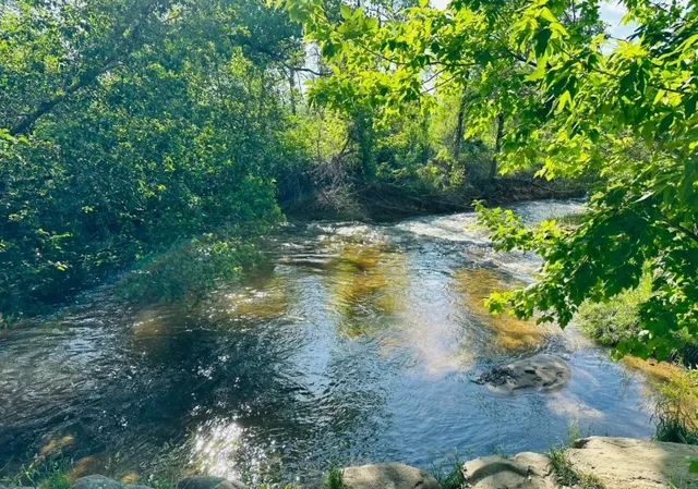  An Enchanted Oasis Nestled by the City