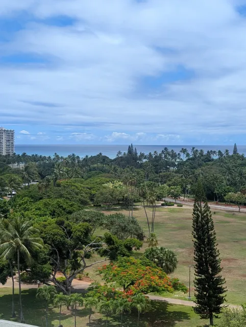 A Wonderful Hotel with an Incredible Staff! 🌟