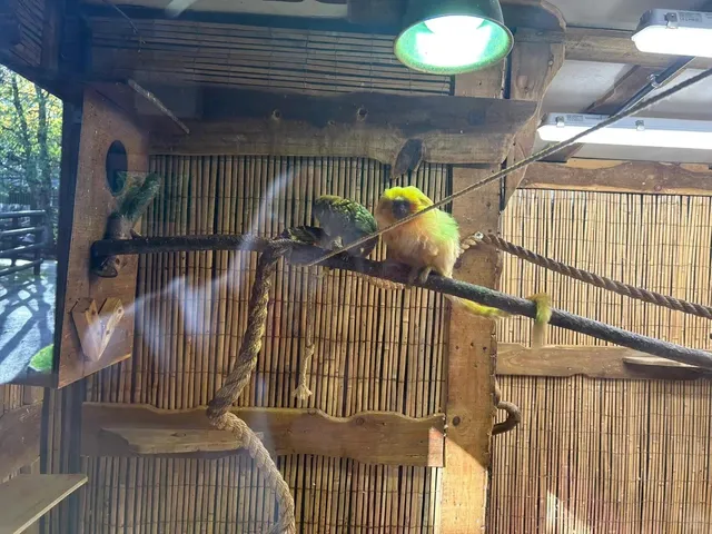 6 Hidden Gems Near University of Birmingham You Can't Miss! 💖📚