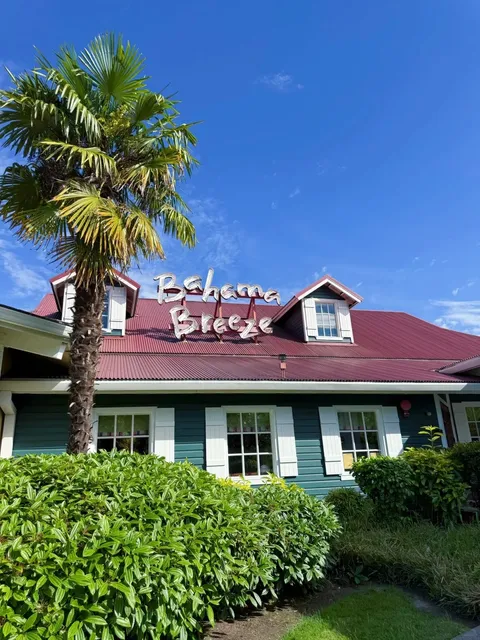 Seattle's Go-To Spot: Bahama Breeze 🌴