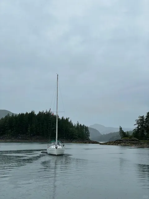  Beyond Victoria – Explore Northern Vancouver Island! 🌲🏔️