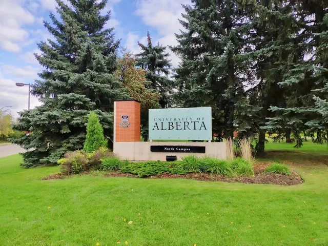 📚 U of A Autumn Diaries & Golden Scenes 🍂✨