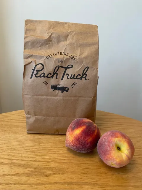 The Best Vacation! 🌟🎸