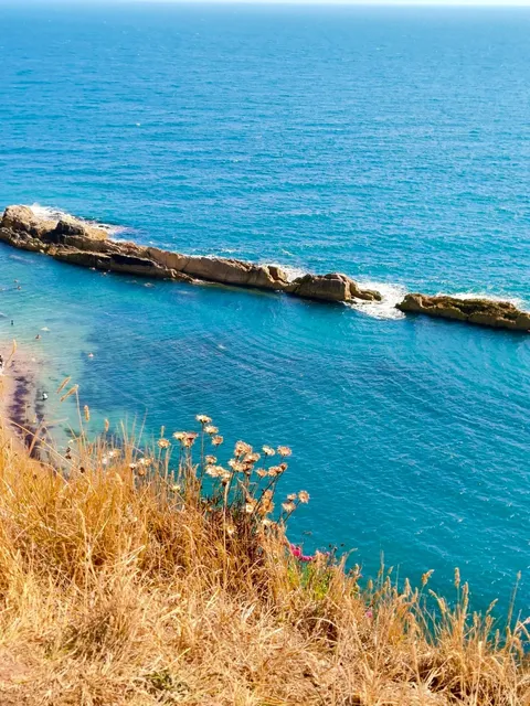 🇬🇧 Bristol to Durdle Door | Day Trip Guide 🌊